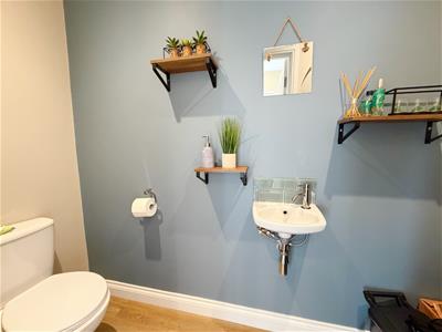 Picture 15